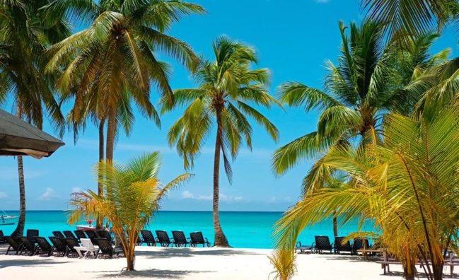 Day Trip to Saona Island from Boca Chica