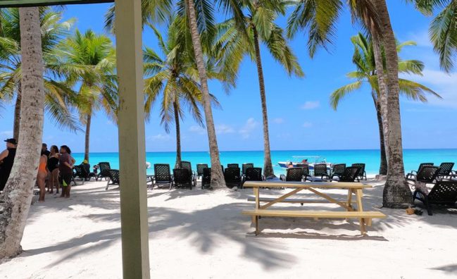 Day Trip to Saona Island from Uvero Alto