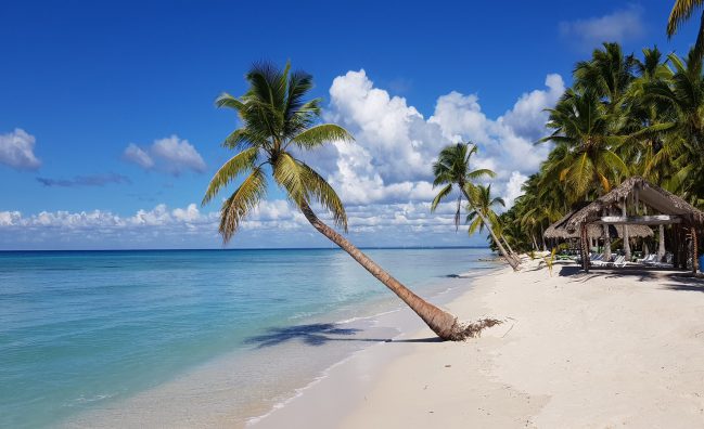 Day Trip to Saona Island from Samaná